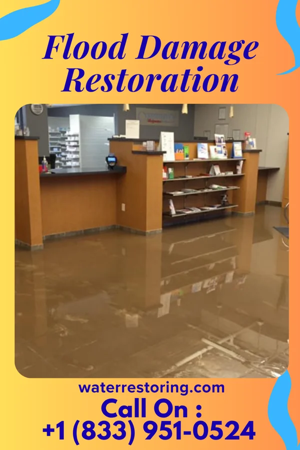 Flood Damage Restoration in Pleasant Grove, MD