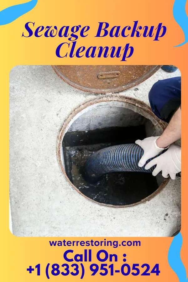 Sewage Backup Cleanup in Pleasant Grove, MD