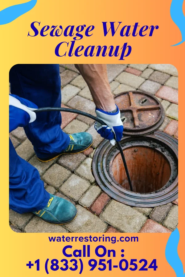 Sewage Water Cleanup in Pleasant Grove, MD